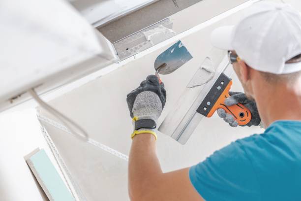 Best Mold Remediation for Healthcare Facilities  in Kalkaska, MI